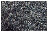 Southern Permafrost Seasonal Defrosting