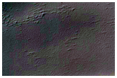 Spider Terrain
