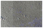 Candidate New Impact Site Formed between January 2006 and April 2010