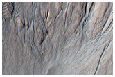 Gully Monitoring