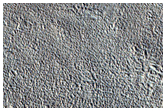 Flow Boundary in Elysium Planitia