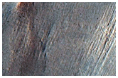 Gully Monitoring