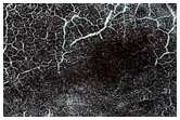 Southern Permafrost Seasonal Defrosting