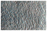 Gullies in Terra Sirenum Crater Wall