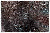 Region Dubbed Manhattan Classic Spider Terrain