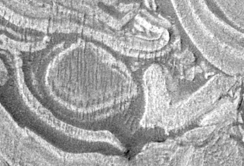 Banded Terrain in Northwest Hellas Planitia