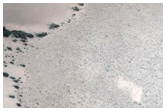 Gully Monitoring