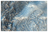 Gullies and Fan Deposits in Terra Sirenum