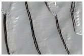 Fingerprint Terrain with Sawtooth Pattern