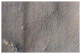 Gully Monitoring