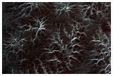 Spider Terrain