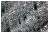 Spiders Higher in Outcrop of Polar Cap