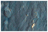 Possible Future Landing Site in Holden Crater