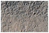 Possible Phyllosilicate Knob in Southwest Argyre Planitia