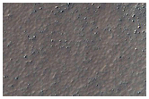 USGS Dune Database Entry Number 2508-654