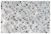 Seasonal Polygons and Fans on Dunes within Crater