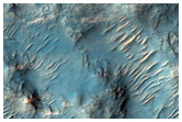 Possible Detection of Prehnite and Smectite Minerals