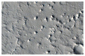 Monitoring New Impact Site