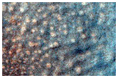 USGS Dune Database Entry Number 1837-618