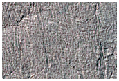 Western Cavi Angusti
