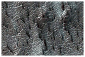 Region Dubbed Manhattan Classic Spider Terrain