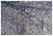 Monitor Gullies on Equator-Facing Slope in Asimov Crater