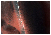 High-Latitude Active Dune-Gullies