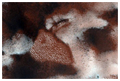 USGS Dune Database Entry Number 1556-688