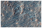 Possible Olivine Detected by Omega North of Hellas Planitia