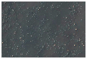 USGS Dune Database Entry Number 2271-573