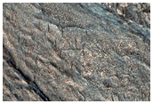 Mixed Sulfates along Melas Chasma Wallrock