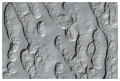 Monitoring of South Polar Residual Cap Albedo Features