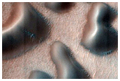 USGS Dune Database Entry Number 2579-573