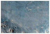 Floor of Leighton Crater
