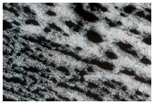 South High Latitude Spring Defrosting Monitor Site in MOC M09-06029