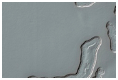 Monitoring of South Polar Residual Cap Albedo Features