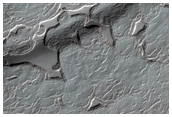 Monitoring of South Polar Residual Cap Albedo Features