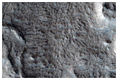 Pitted Domes in Northern Amazonis Planitia