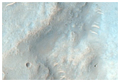 Possible Olivine-Rich Wind Streak Emanating from Crater with Possible Clays