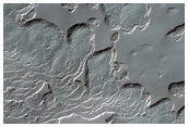 Monitoring of South Polar Residual Cap Albedo Features