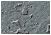 Monitoring of South Polar Residual Cap Albedo Features