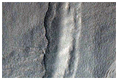 Multi-Lobed Gully Apron