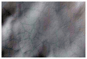 Monitoring of South Polar Residual Cap Albedo Features