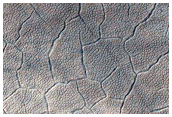 Polygons in Degraded Crater