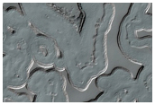 Monitoring of South Polar Residual Cap Albedo Features
