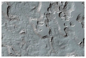 Monitoring of South Polar Residual Cap Albedo Features