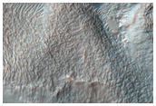 Gullies in Crater in Terra Sirenum