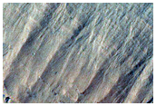 Alcoves on South Polar Layered Deposit Scarp