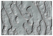 Monitoring of South Polar Residual Cap Albedo Features