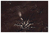 Spider Terrain